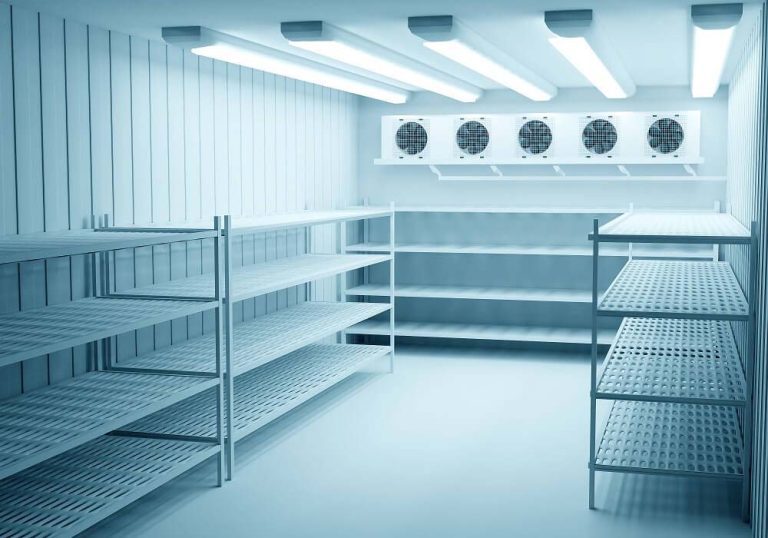 Chiller Room Manufacturer in UAE for Reliable Commercial Cold Storage